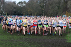Senior Women and under-23 Womens 2017 British Athletics Liverpool Cross Challenge, Sefton Park, Liverpool. Photo:  David T. Hewitson/Sports for All Pics